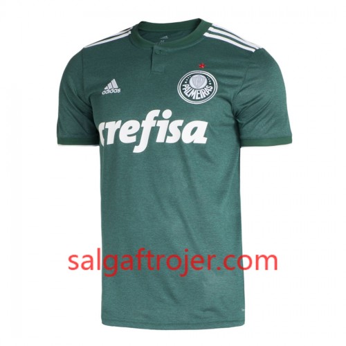 Palmeiras Fodboldtrøjer Hjemmebanesæt 2018/19 Kort ærmer Palmeiras Fodboldtrøjer Hjemmebanesæt 2018/19 Kort ærmer
